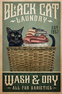 y10%OFFN[|zzz hJLbg 5D _ChA[g r[YhJ  L LbgL S _ChyCeBOCeA  nhCh NXXeb` _C