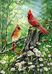 y10%OFFN[|zzz hJLbg 5D_ChA[g Lbg r[YhJ i Ԓ S 5D_Ch yCeBOCeA nhCh NXXeb` _CA