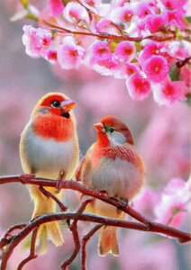 y10%OFFN[|zzz hJLbg 5D_ChA[g Lbg r[YhJ i Ԓ S 5D_Ch yCeBOCeA nhCh NXXeb` _CA