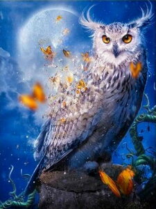  hJLbg5D tNE _ChA[g Lbg r[YhJ t _ChyCeBOCeA  nhCh NXXeb` _CAhA[g ǃA[g | 