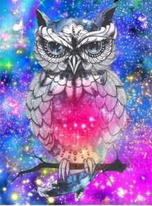  hJLbg5D tNE _ChA[g Lbg r[YhJ t _ChyCeBOCeA  nhCh NXXeb` _CAhA[g ǃA[g | 