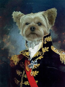 y10%OFFN[|zzz hJLbg 5D _ChA[g  L  Lbg r[YhJ L S _ChyCeBOCeA  nhCh NXXeb` 