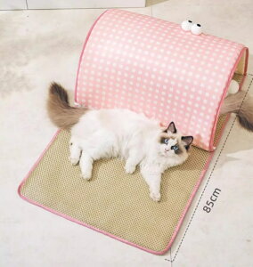  ybg eg eg peg nEX pxbh Lpxbh h[ ʋC   O ybgnEX hbOnEX ^ Leg ybg L NbVt ʔN Lp 