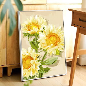 yN[|p10%OFFz G lCIWifUC ̓ GhG t[t i  Ђ܂ {gVbv l̓hG i hG 40x50cm G Mtg G