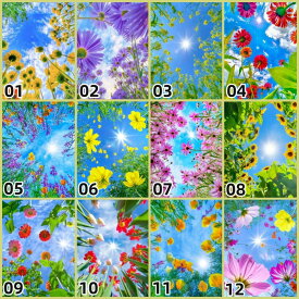 【クーポン利用で10%OFF】送料無料 数字油絵 人気オリジナルデザイン 父の日 油絵塗り絵 フレーム付 風景 花卉 ボトルシップ 大人の塗り絵 数字塗り絵 数字絵 ギフト 壁飾り 絵画 インテリア インテリア アートパネル 塗り絵セット 暇つぶし