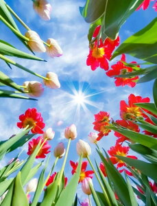 y10%OFFN[|zzz hJLbg 5D _ChA[g r[YhJ i ԙ S _ChyCeBOCeA  nhCh NXXeb` _CAh