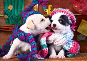 y19-27IN[|p15%OFFz hJLbg 5D _ChA[g r[YhJ    S _ChyCeBOCeA  nhCh NXXeb` _