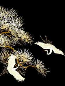 y10%OFFN[|zzz hJLbg 5D_ChA[g Lbg r[YhJ i  S 5D_Ch yCeBOCeA  nhCh NXXeb` _CA