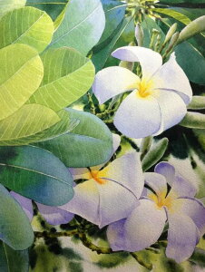 yN[|p10%OFFz hJLbg 5D _ChA[g Lbg r[YhJ  S _ChyCeBOCeA  nhCh NXXeb` _CAh