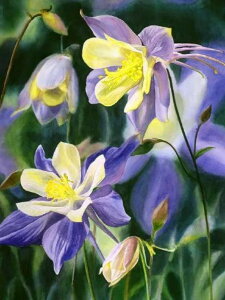 yN[|p10%OFFz hJLbg 5D _ChA[g Lbg r[YhJ  S _ChyCeBOCeA  nhCh NXXeb` _CAh