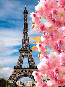 yN[|p200~OFF!z hJLbg 5D _ChA[g Lbg r[YhJ i GbtF S _ChyCeBOCeA  nhCh NXXe