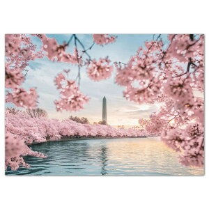 y19-27I15%OFFN[|zzz hJLbg 5D _ChA[g Lbg r[YhJ i  S _ChyCeBOCeA  nhCh NXXeb