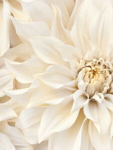  hJLbg 5D _ChA[g Lbg r[YhJ i  S _ChyCeBOCeA  nhCh NXXeb` _CAhA[g ǃA[g 