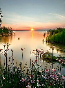 yN[|p200~OFF!z  hJLbg 5D_ChA[g Lbg r[YhJ i S 5D_Ch yCeBOCeA nhCh NXXeb` _CA