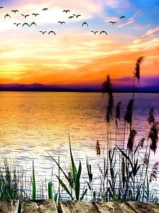 yN[|p200~OFF!z  hJLbg 5D_ChA[g Lbg r[YhJ i S 5D_Ch yCeBOCeA nhCh NXXeb` _CA