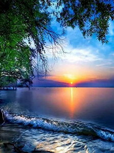 yN[|p200~OFF!z  hJLbg 5D_ChA[g Lbg r[YhJ i S 5D_Ch yCeBOCeA nhCh NXXeb` _CA