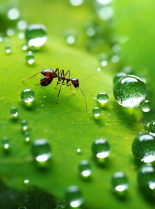 y10%OFFN[|zzz  hJLbg 5D_ChA[g Lbg r[YhJ i A S 5D_Ch yCeBOCeA  nhCh NXXeb` _C