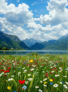 y10%OFFN[|zzz hJLbg 5D_ChA[g Lbg r[YhJ i S 5D_Ch yCeBOCeA  nhCh NXXeb` _CA