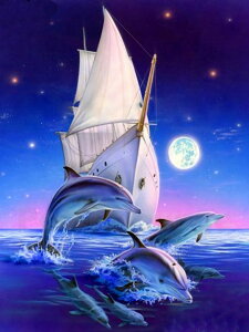 yN[|p10%OFFz hJLbg 5D_ChA[g Lbg r[YhJ CJ C S _ChyCeBOCeA  nhCh NXXeb` _CA