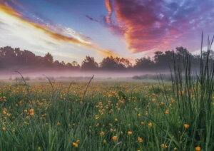 y10%OFFN[|zzz hJLbg i S _ChA[g Lbg r[YhJ _ChyCeBOCeA  nhCh NXXeb` _CAh