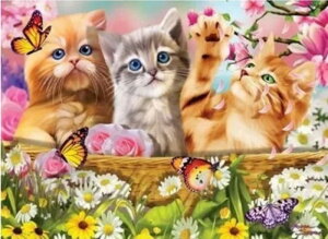 y21-31IN[|p15%OFFz hJLbg 5D _ChA[g r[YhJ L  S _ChyCeBOCeA  nhCh NXXeb` _C