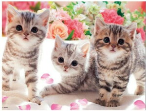 y1-8I15%OFFN[|zzz hJLbg 5D _ChA[g r[YhJ L  S _ChyCeBOCeA  nhCh NXXeb` _C