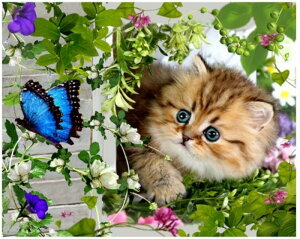 y21-31IN[|p15%OFFz hJLbg 5D _ChA[g r[YhJ L  S _ChyCeBOCeA  nhCh NXXeb` _C