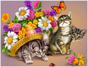 y9-18IN[|p15%OFFz hJLbg 5D _ChA[g r[YhJ L  S _ChyCeBOCeA  nhCh NXXeb` _C