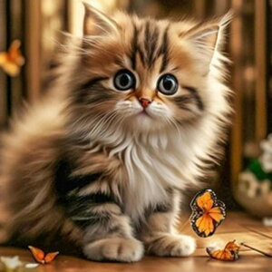 y10%OFFN[|zzz hJLbg 5D _ChA[g r[YhJ L S _ChyCeBOCeA  nhCh NXXeb` _CAhA