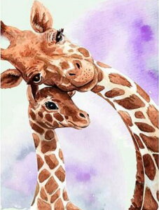 yN[|p200~OFF!z  hJLbg 5D _ChA[g  L Lbg r[YhJ S _ChyCeBOCeA  nhCh NXXeb` 