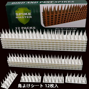 y21-31IN[|p15%OFFz x_ 悯ObY 悯V[g  L悯 Q΍ Nh~  x_  ̂Ђ    ΍ h  gQ 