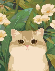  G lCIWifUC ̓ GhG t[t L 킢 L {gVbv l̓hG i hG 40x50cm G Mtg Ǐ G CeA 