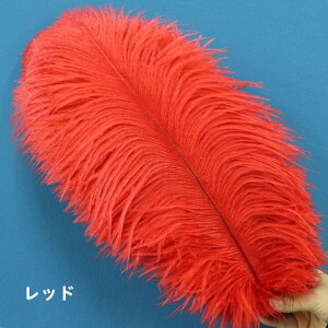 yN[|p10%OFFz I[Xgb` 5{/10{40-45cm _`EH𗘗p}{[ƃ{A DIY H H }{[ Xe[Wߑ H tFU[ }{[ V[ | i`