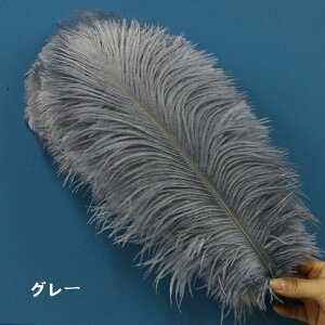 y10%OFFN[|zzz I[Xgb` 5{/10{40-45cm _`EH𗘗p}{[ƃ{A DIY H H }{[ Xe[Wߑ H tFU[ }{[ V[ | i`