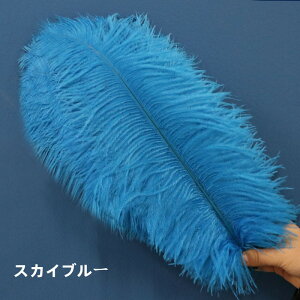 y24-31I16%OFFN[|zzz I[Xgb` 5{/10{40-45cm _`EH𗘗p}{[ƃ{A DIY H H }{[ Xe[Wߑ H tFU[ }{[ V[ 