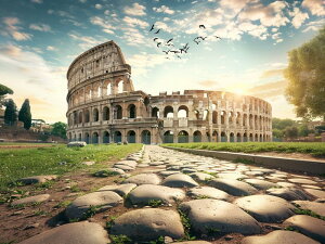 yN[|p10%OFFz  hJLbg5D_ChA[g Lbg r[YhJ iRbZI S 5D_Ch yCeBOCeA  nhCh NXXeb` 