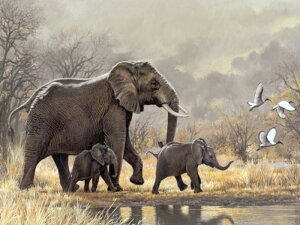  hJLbg 5D_ChA[g Lbg r[YhJ  S _ChyCeBOCeA  nhCh NXXeb` _CAhA[g}Ĉ ǃA[g 