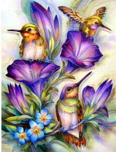 y10%OFFN[|zzz hJLbg 5D _ChA[g Lbg r[YhJ  i S _ChyCeBOCeA  Ǐ nhCh NXXeb` _