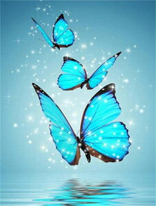  hJLbg 5D _ChA[g r[YhJ  S _ChyCeBOCeA  nhCh NXXeb` _CAhA[g ǃA[g | _C