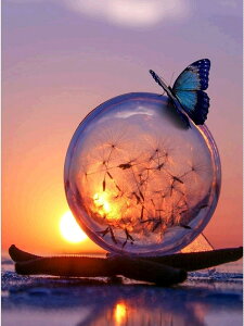  hJLbg 5D_ChA[g Lbg r[YhJ i S 5D_Ch yCeBOCeA  nhCh NXXeb` _CAhA[g} ǃA[g 