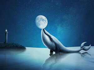 y10%OFFN[|zzz hJLbg 5D _ChA[g Lbg r[YhJ i NW S _ChyCeBOCeA  nhCh NXXeb` _C