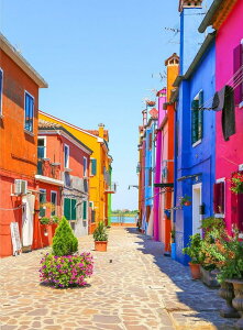  hJLbg 5D_ChA[g Lbg r[YhJ i F̏ S 5D_Ch yCeBOCeA  nhCh NXXeb` _CAhA[g}