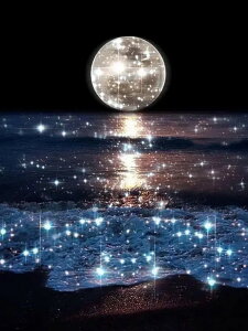  hJLbg 5D_ChA[g Lbg r[YhJ i  S 5D_Ch yCeBOCeA  nhCh NXXeb` _CAhA[g} ǃA