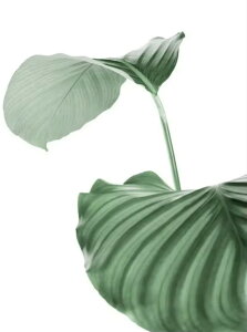 yN[|p200~OFFz hJLbg 5D _ChA[g r[YhJ k A S _ChyCeBOCeA  nhCh NXXeb` _CA