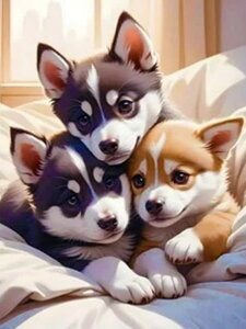 y21-31IN[|p15%OFFz hJLbg 5D _ChA[g r[YhJ    S _ChyCeBOCeA  nhCh NXXeb` _