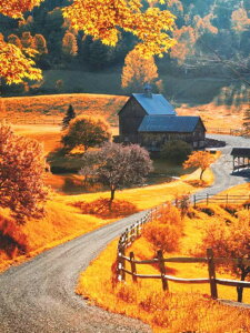 y1-8IN[|p16%OFFz hJLbg5D_ChA[g Lbg r[YhJ H̕i S 5D_Ch yCeBOCeA nhCh NXXeb` _C