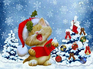 yN[|p10%OFFz hJLbg 5D NX}X _ChA[g Lbg r[YhJ t _ChyCeBOCeA  nhCh NXXeb` _CA