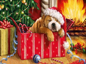 yN[|p10%OFFz hJLbg 5D NX}X _ChA[g Lbg r[YhJ t _ChyCeBOCeA  nhCh NXXeb` _CA