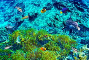 y10%OFFN[|zzz hJLbg 5D _ChA[g r[YhJ C̐E CJ S _ChyCeBOCeA  nhCh NXXeb` _C