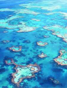 y1-7IN[|p15%OFFz hJLbg 5D_ChA[g Lbg r[YhJ i S 5D_Ch yCeBOCeA  nhCh NXXeb` _C